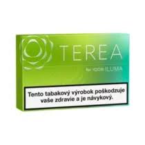 IQOS Terea Willow