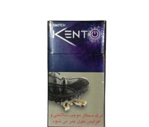 Kent Switch Touch Blueberry Sigara ( Yabanmersini )